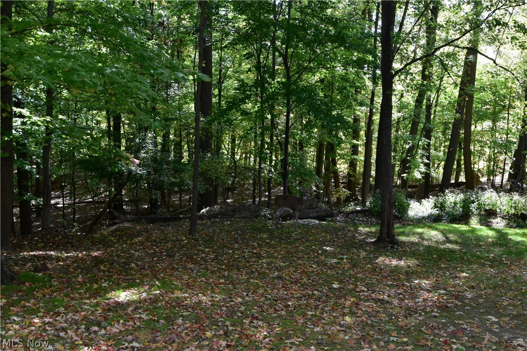 Valley Forge Estates 05 - Residential