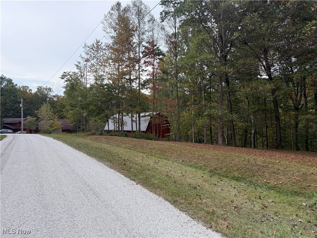 LAKE BUCKHORN - Land