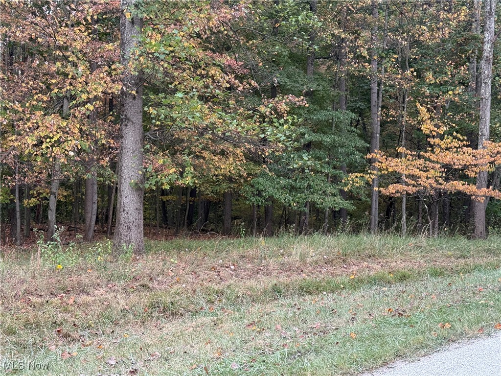 LAKE BUCKHORN - Land