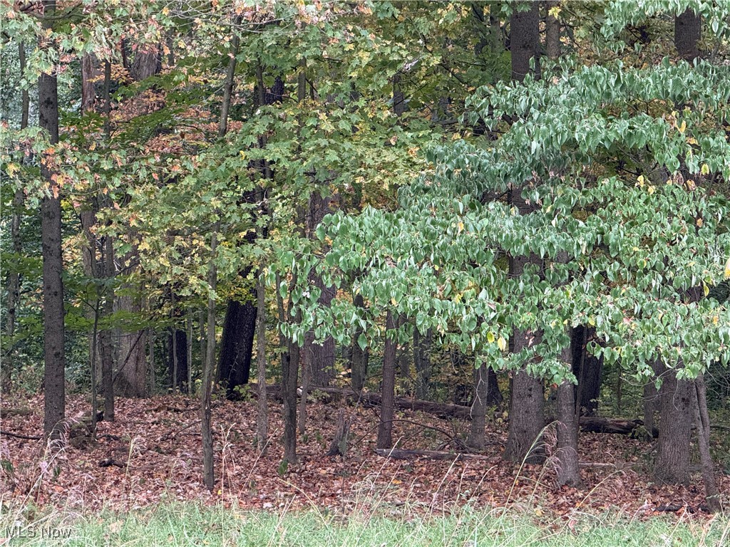 LAKE BUCKHORN - Land