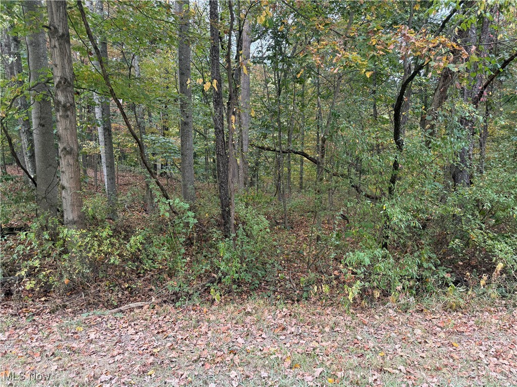 LAKE BUCKHORN - Land