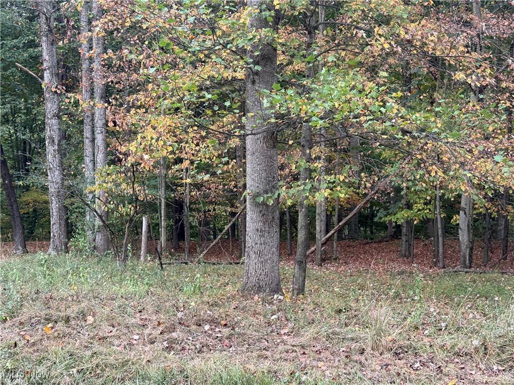 LAKE BUCKHORN - Land