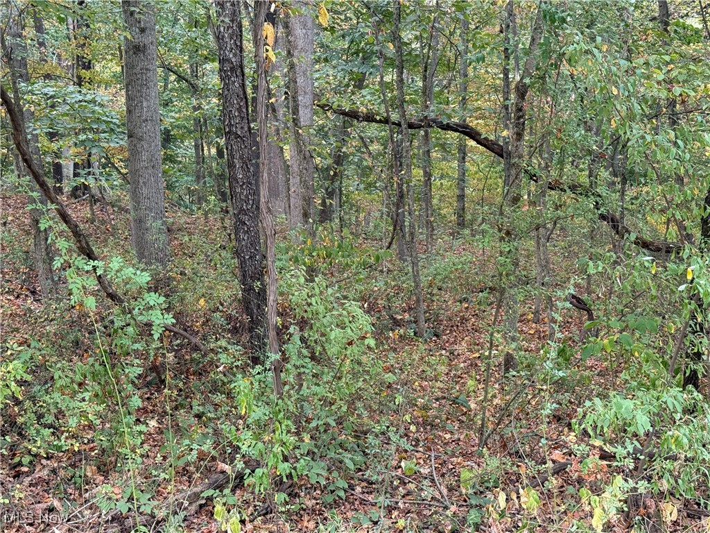 LAKE BUCKHORN - Land