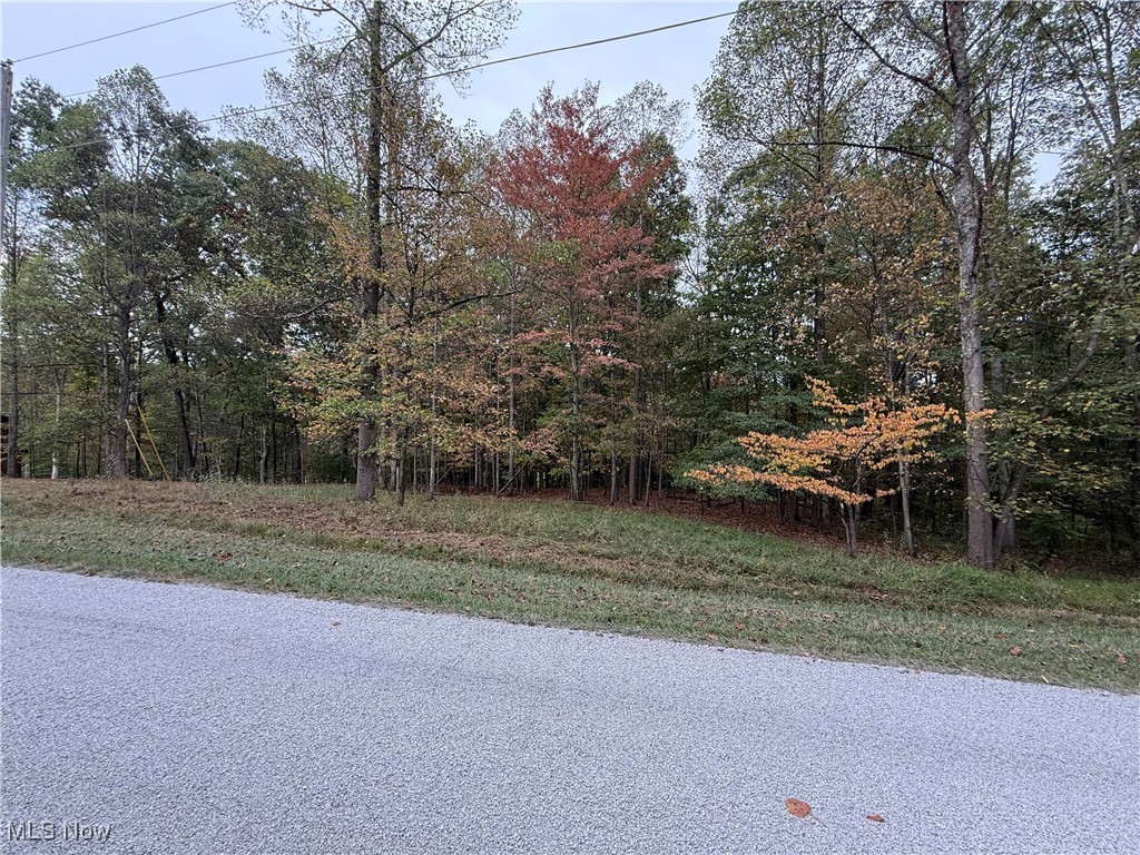 LAKE BUCKHORN - Land