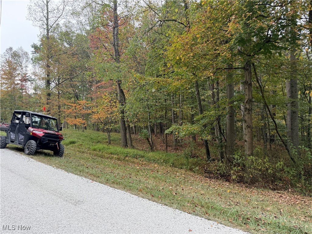 LAKE BUCKHORN - Land