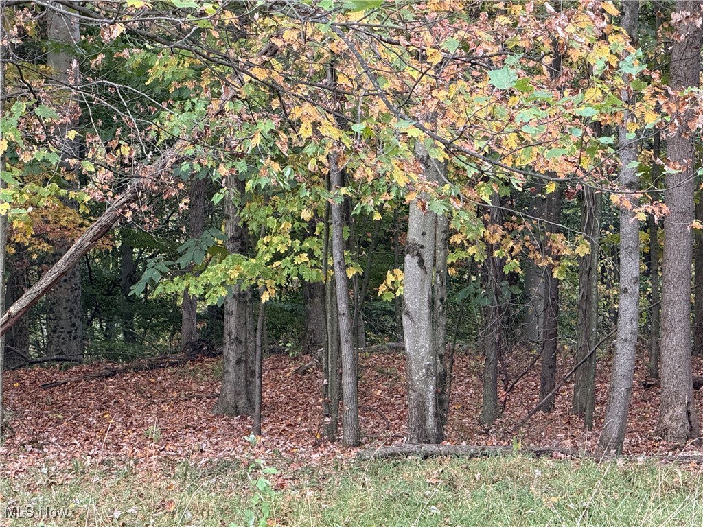 LAKE BUCKHORN - Land