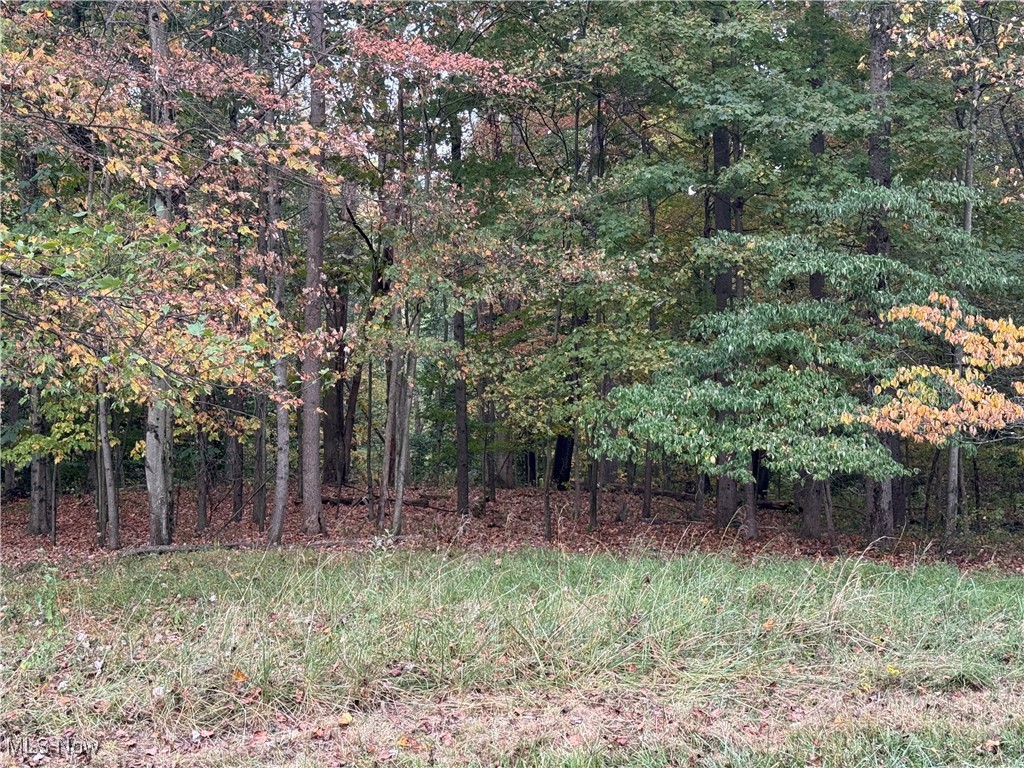 LAKE BUCKHORN - Land