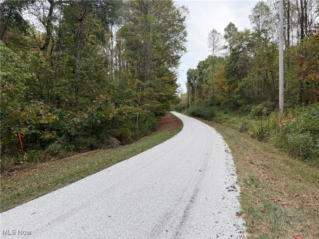 LAKE BUCKHORN - Land