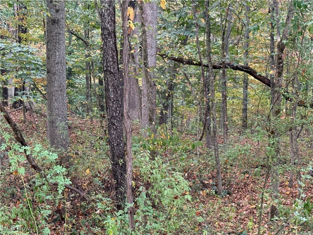 LAKE BUCKHORN - Land