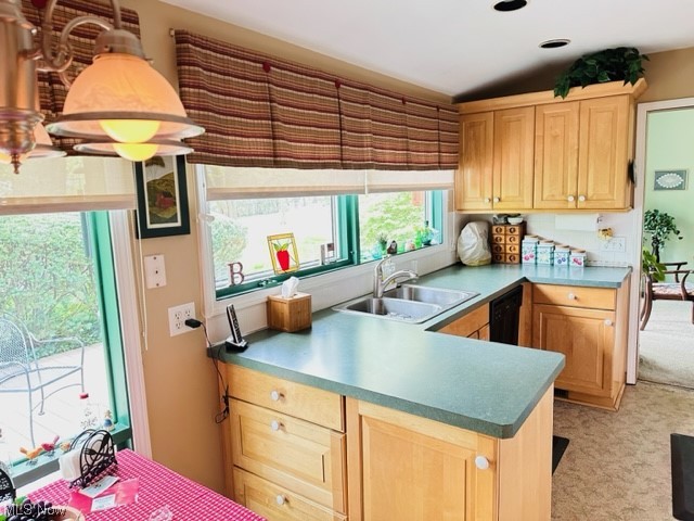 Dover Bay 03 - Residential