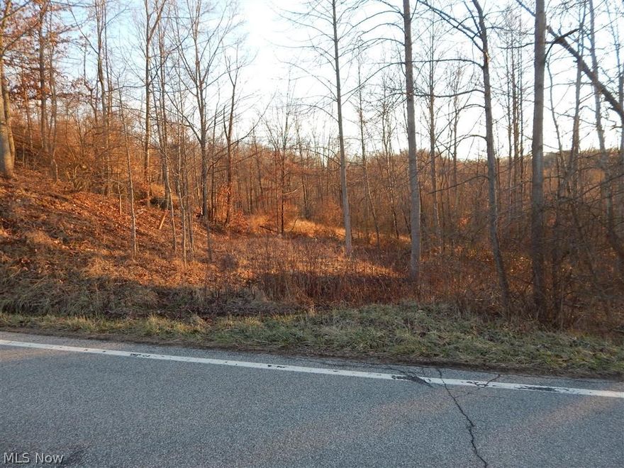 24 acres of hunting and recreational land in Ritchie County, WV.
 If you’re looking for a place to call your own hunting ground that is easily accessible then you just found it.  This property has plenty of woods, a small watering hole for the deer and other wildlife. Electric runs through the property and there is even a level spot tucked back off the road to place a camper or build your weekend retreat.