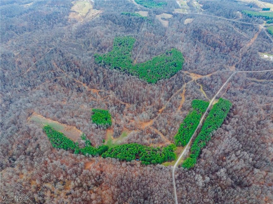 New to the market, this 47-acre hunting property near Caldwell, Ohio offers a ready-to-hunt setup just minutes from I-77. The land features two strategically placed blinds and two feeders located in established food plot areas, with a timber select cut completed a few years ago that created an excellent trail system and thriving whitetail habitat. A healthy stand of evergreen trees provides additional wildlife cover and seclusion, surrounding a cozy cabin with easy access to the blinds. This property combines convenience, privacy, and prime habitat, making it an ideal weekend hunting retreat.