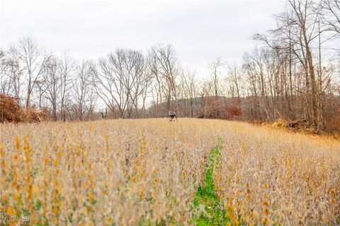 Tiny photo for Glen Long Road, Caldwell, OH 43724 (MLS # 5180682)