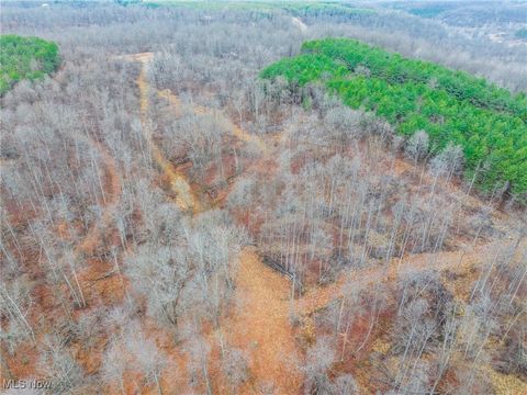 Tiny photo for Glen Long Road, Caldwell, OH 43724 (MLS # 5180682)