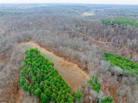 Tiny photo for Glen Long Road, Caldwell, OH 43724 (MLS # 5180682)