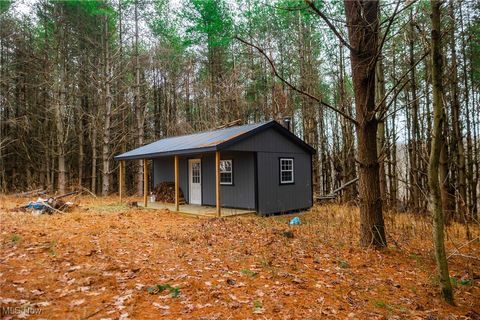 Tiny photo for Glen Long Road, Caldwell, OH 43724 (MLS # 5180682)