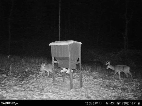 Tiny photo for Glen Long Road, Caldwell, OH 43724 (MLS # 5180682)