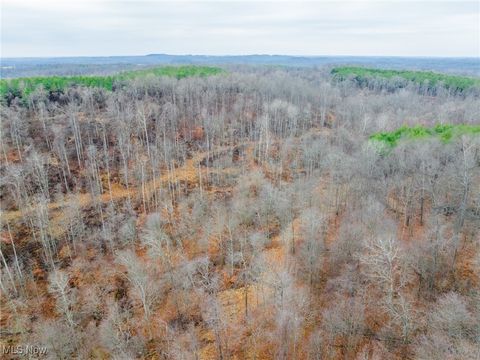 Tiny photo for Glen Long Road, Caldwell, OH 43724 (MLS # 5180682)