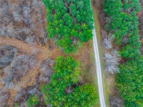 Tiny photo for Glen Long Road, Caldwell, OH 43724 (MLS # 5180682)