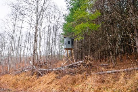 Tiny photo for Glen Long Road, Caldwell, OH 43724 (MLS # 5180682)