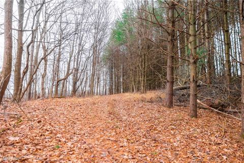 Tiny photo for Glen Long Road, Caldwell, OH 43724 (MLS # 5180682)