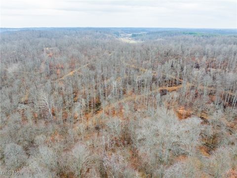 Tiny photo for Glen Long Road, Caldwell, OH 43724 (MLS # 5180682)