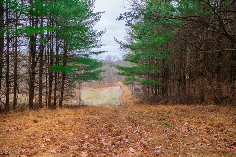 Tiny photo for Glen Long Road, Caldwell, OH 43724 (MLS # 5180682)