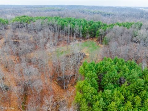 Tiny photo for Glen Long Road, Caldwell, OH 43724 (MLS # 5180682)