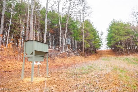 Tiny photo for Glen Long Road, Caldwell, OH 43724 (MLS # 5180682)