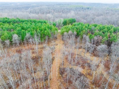 Tiny photo for Glen Long Road, Caldwell, OH 43724 (MLS # 5180682)