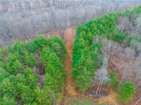 Tiny photo for Glen Long Road, Caldwell, OH 43724 (MLS # 5180682)