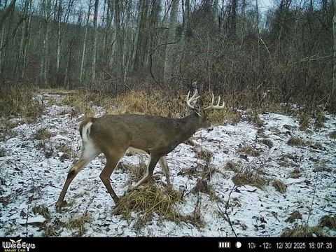 Tiny photo for Glen Long Road, Caldwell, OH 43724 (MLS # 5180682)