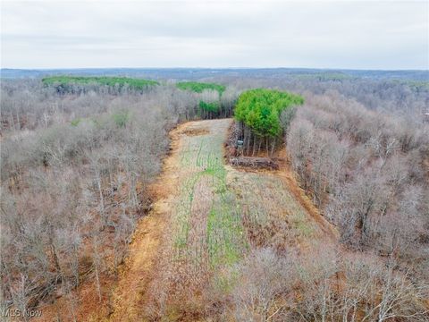 Tiny photo for Glen Long Road, Caldwell, OH 43724 (MLS # 5180682)