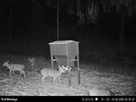 Tiny photo for Glen Long Road, Caldwell, OH 43724 (MLS # 5180682)