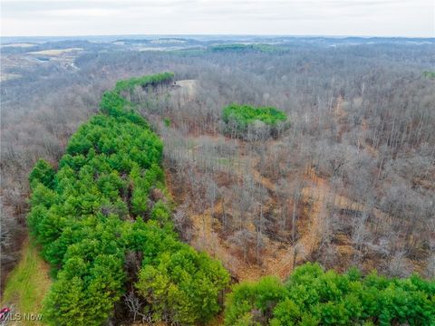 Tiny photo for Glen Long Road, Caldwell, OH 43724 (MLS # 5180682)