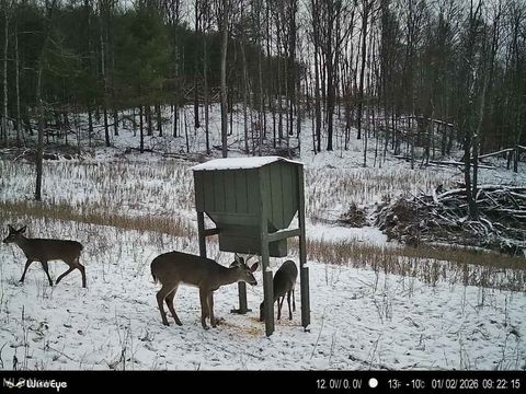 Tiny photo for Glen Long Road, Caldwell, OH 43724 (MLS # 5180682)