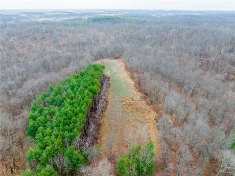 Tiny photo for Glen Long Road, Caldwell, OH 43724 (MLS # 5180682)