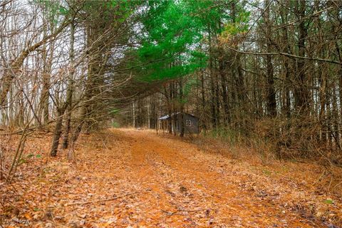 Tiny photo for Glen Long Road, Caldwell, OH 43724 (MLS # 5180682)