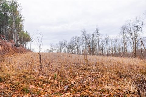 Tiny photo for Glen Long Road, Caldwell, OH 43724 (MLS # 5180682)
