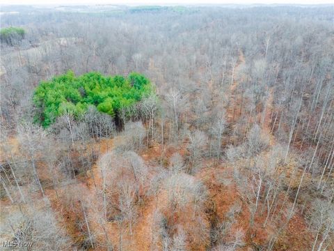 Tiny photo for Glen Long Road, Caldwell, OH 43724 (MLS # 5180682)