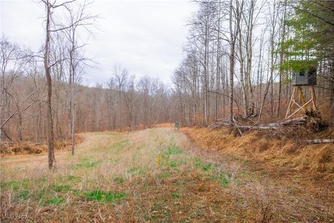 Tiny photo for Glen Long Road, Caldwell, OH 43724 (MLS # 5180682)