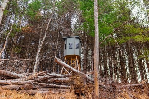 Tiny photo for Glen Long Road, Caldwell, OH 43724 (MLS # 5180682)