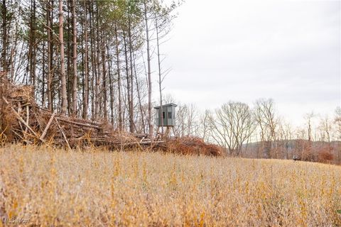 Tiny photo for Glen Long Road, Caldwell, OH 43724 (MLS # 5180682)