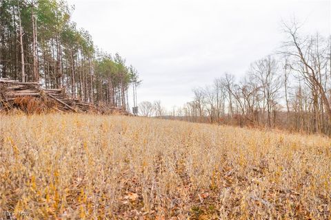 Tiny photo for Glen Long Road, Caldwell, OH 43724 (MLS # 5180682)