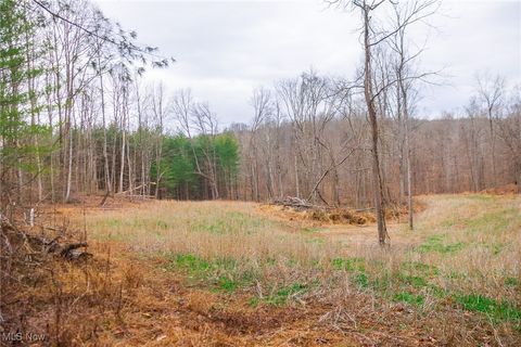 Tiny photo for Glen Long Road, Caldwell, OH 43724 (MLS # 5180682)