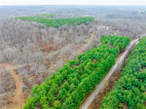 Tiny photo for Glen Long Road, Caldwell, OH 43724 (MLS # 5180682)