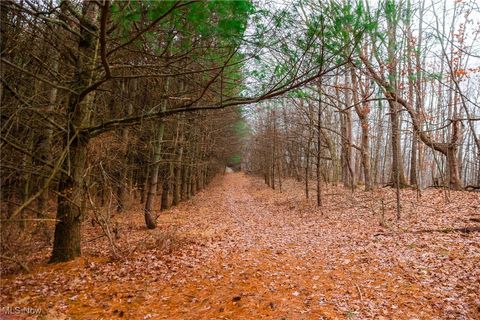 Tiny photo for Glen Long Road, Caldwell, OH 43724 (MLS # 5180682)