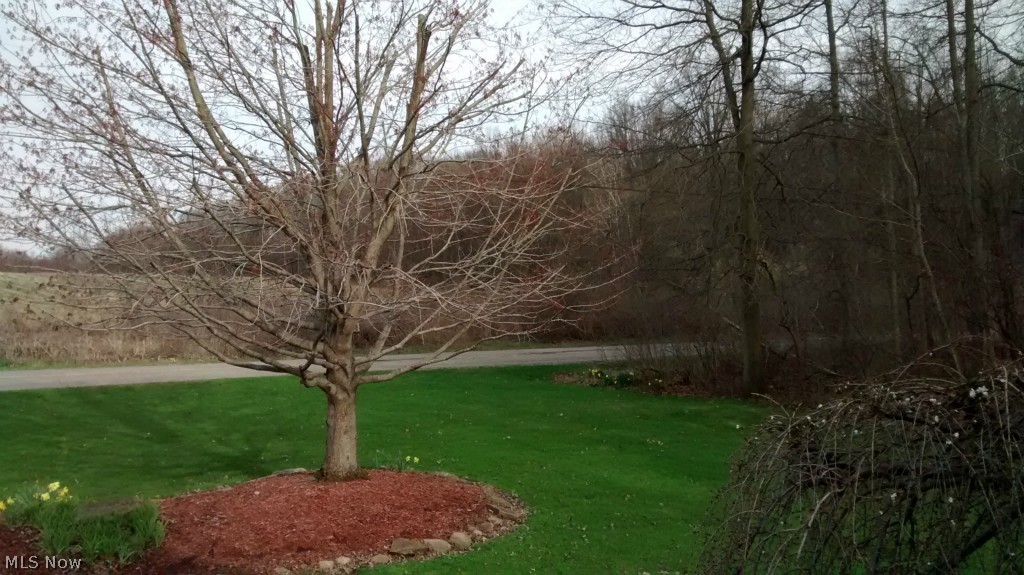 John White Farm 1 - Residential