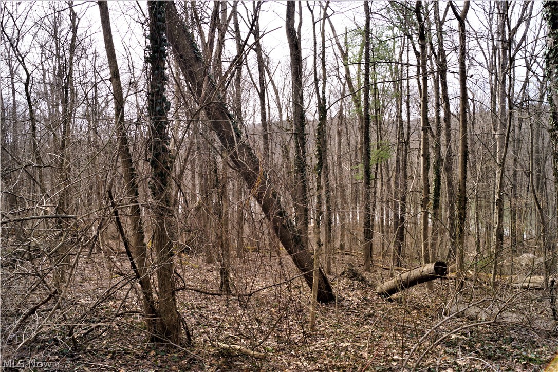 Rockwood Park - Residential