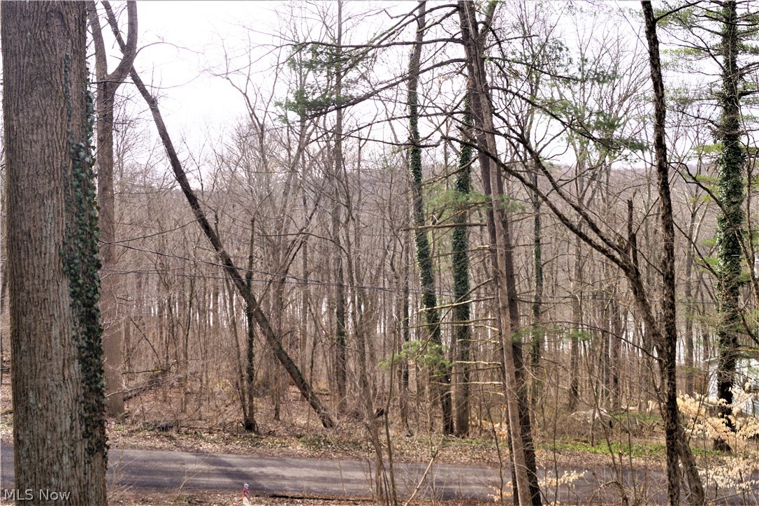 Rockwood Park - Residential